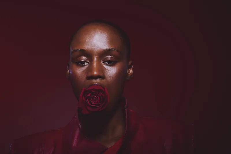 Portrait of a black African woman with dark skin holding a red rose in her mouth against a dark burgundy background. Concept of beauty, elegance, and floral symbolism in studio lighting.