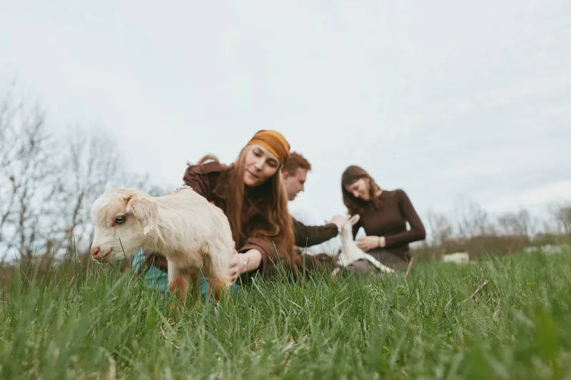 Lifestyle moment with friends outdoors in a green meadow, caring for a young goat kid, gentle interaction and playful bonding with animals, capturing a calm rural scene in natural daylight