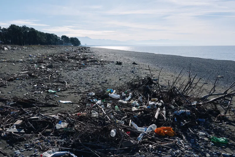 Pollution on a beach shows scattered trash and plastic debris along the shoreline, with dark sand and calm water, highlighting environmental impact and the call for cleanup and responsible waste