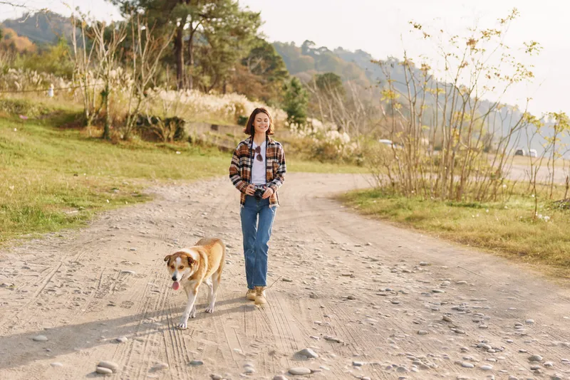 Woman walking a dog on a gravel path through a sunny countryside, plaid shirt and jeans, calm landscape, trees in distance, peaceful outdoor moment