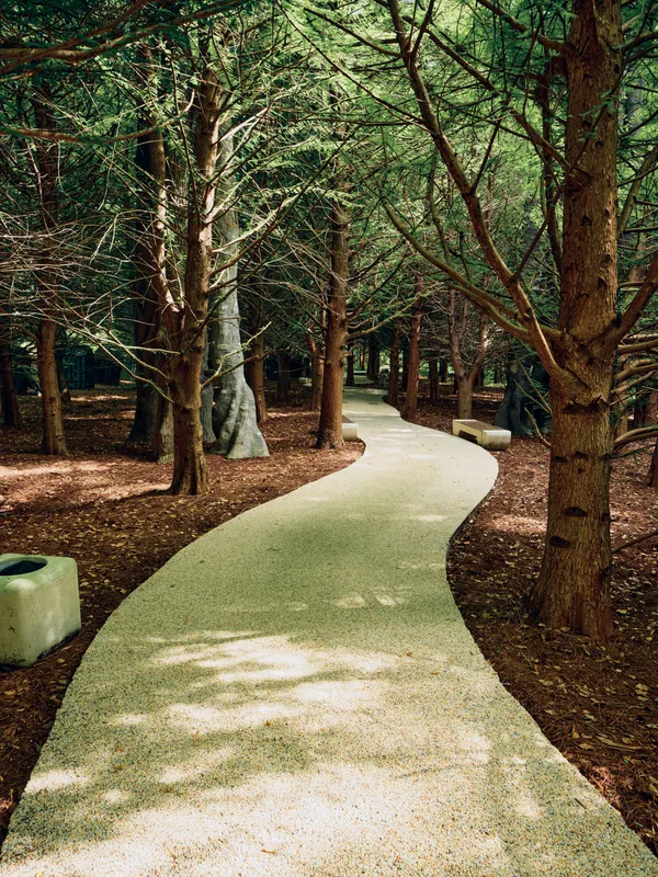 Path, forest, trees, walkway, bench, sunlight, nature, park - Curving gravel path winding through shaded forest with dappled sunlight, benches and leaf litter for peaceful outdoor strolls.