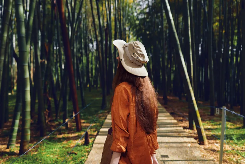 woman hat forest bamboo path back walking nature travel rear view of a female traveler wearing a sun hat and rust shirt walking along a wooden path through a tall bamboo grove