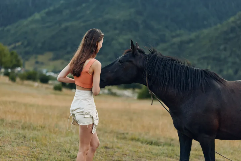 A young woman in casual attire stands in a grassy field, approaching a calm horse. The serene rural scene conveys connection, nature, and gentle interaction between human and animal.