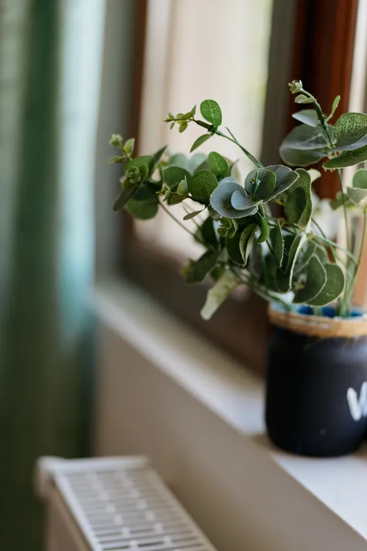 Close-up of a leafy potted plant on a sunlit windowsill, emphasizing natural light and greenery. Home lifestyle, comfort, and self care through simple plant care in a cozy interior.