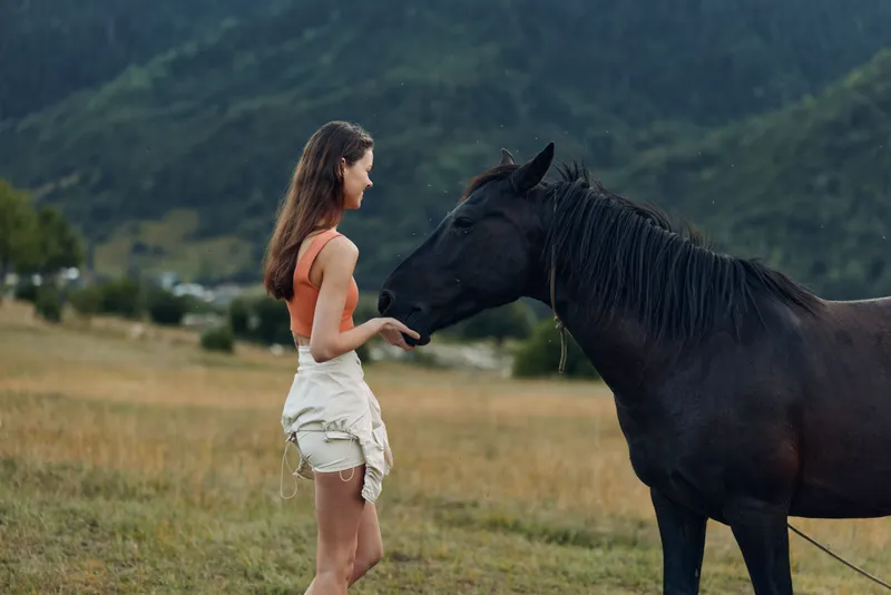 A young woman stands in a grassy field, gently touching a horse's nose, creating a calm, intimate moment that conveys connection, warmth, and natural rural serenity under soft light.