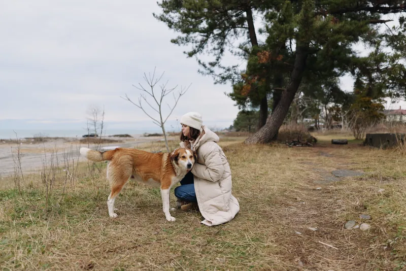 Dog and woman outdoors in a winter park by a lake, kneeling to cuddle a friendly canine. Warm coat and beanie, trees in the background create a peaceful scene of companionship and nature