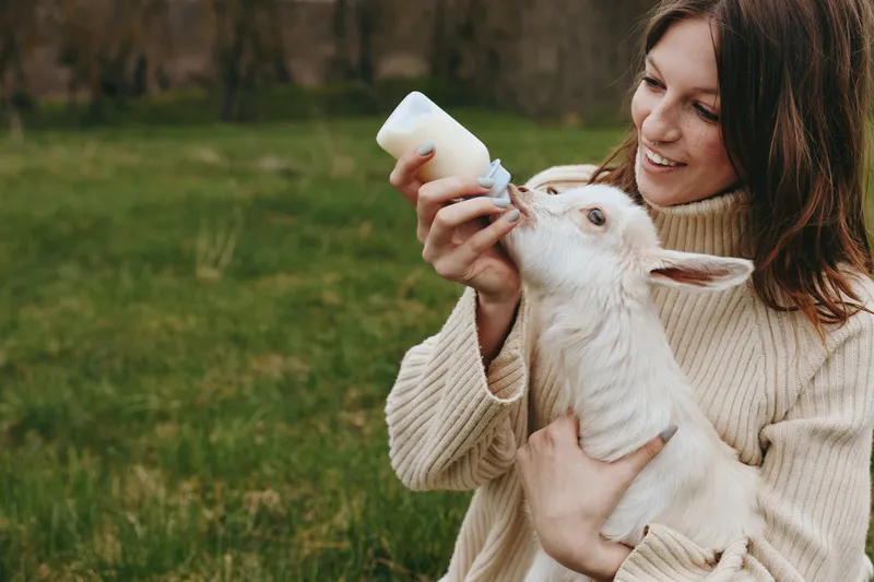 A woman, smiling, feeds a goat kid in an outdoor field, a warm moment of animal bonding and rural lifestyle, with the countryside and sunlit pasture in view.