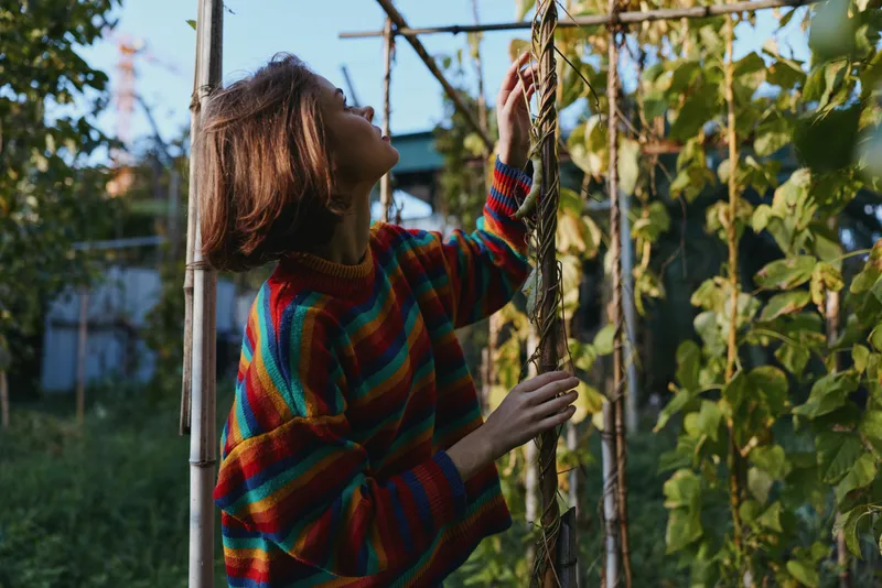 woman gardening plants trellis sweater outdoors, young woman in colorful striped knit inspects climbing vines on a trellis in a backyard garden with autumn leaves and warm sunlight.