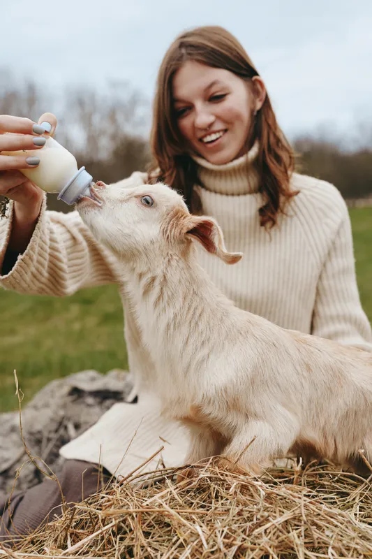 Cheerful woman outdoors bottle feeding a young goat kid, warm sunlight, soft breeze, cozy sweater, intimate interaction, rustic setting, natural colors, farm lifestyle moment