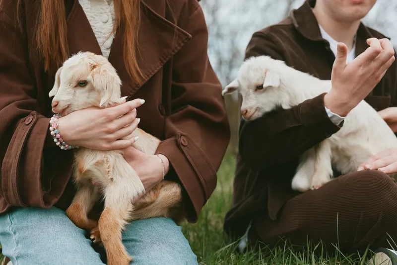 A warm, casual scene shows two people in brown outerwear cradling a small goat kid on grass, conveying gentle caregiving, rural life, and family bonds.