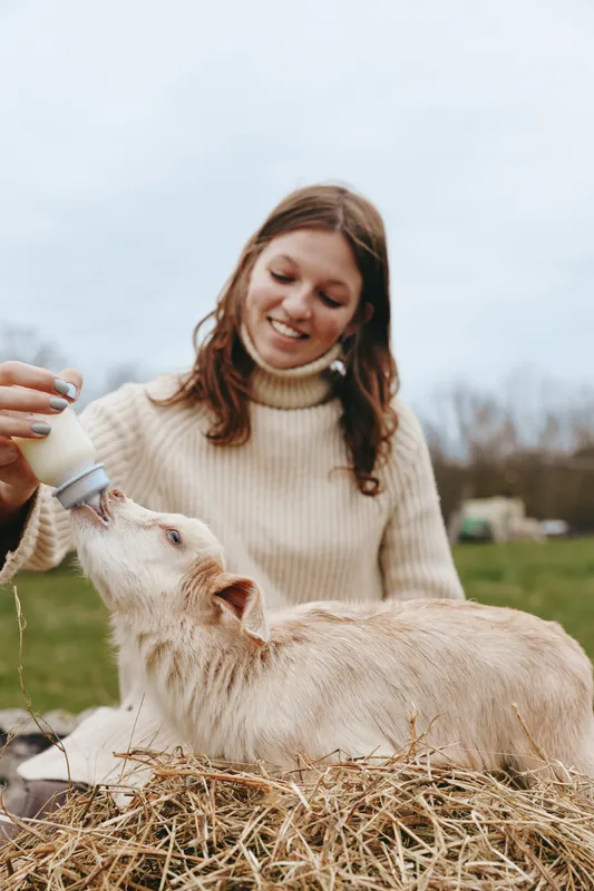 A cheerful woman in a cream knit sweater bottles feeds a young goat outdoors, perched on hay, under a bright sky. A warm farm lifestyle moment showing care, bonding, and animal companionship.