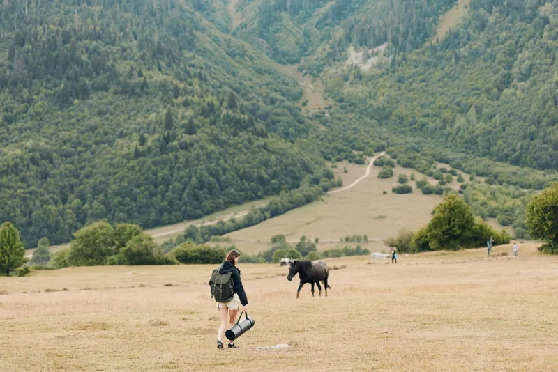 A traveler walks across a wide grassy field toward a dark horse in a tranquil rural scene, with forested hills and distant mountains framing a peaceful countryside moment.