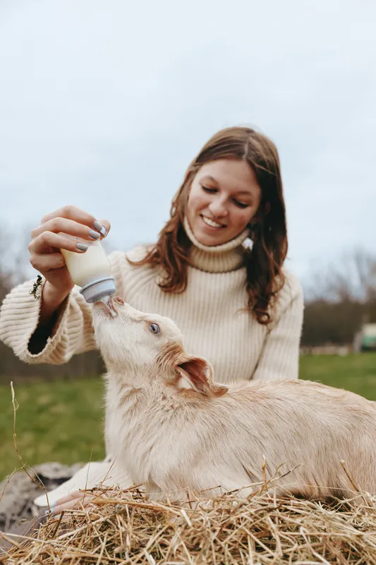 Joyful woman feeding a goat kid outdoors, cozy sweater, soft natural light, rustic hay, calm countryside backdrop, candid lifestyle moment with gentle breeze, warm tones and natural colors