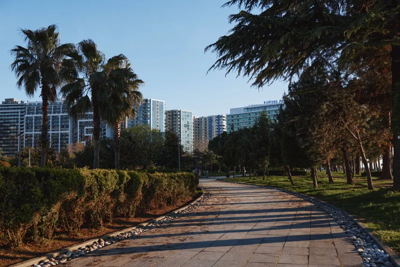 Park pathway with palm trees and modern apartment buildings in the background, sunlit outdoor scene, calm walkway, natural colors, lush greenery, urban calm