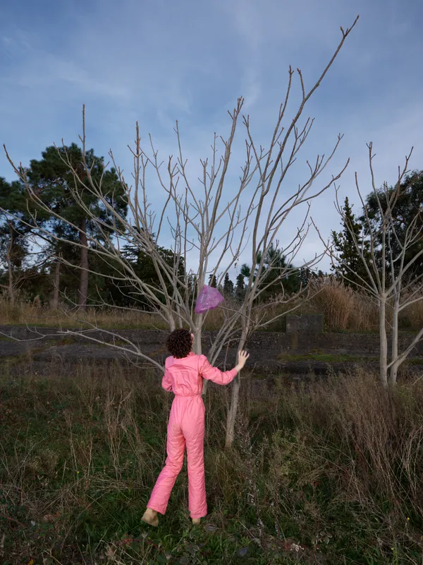 Outdoor scene with a person wearing a pink jumpsuit reaching toward a bare tree in a field, engaging in pruning or gardening activity under a clear sky, conveying calm rural work and seasonal