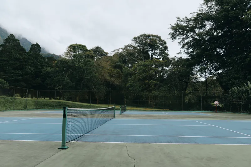 Serene tennis court surrounded by lush greenery, ideal for sports enthusiasts seeking tranquility and outdoor activities in nature