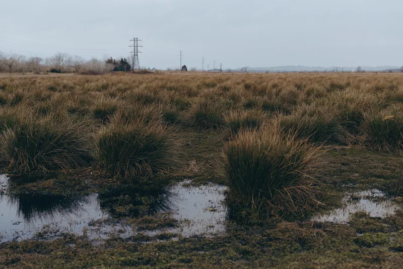 Rural landscape field with grass and puddle reflections, after rain under cloudy sky over distant hills, transmission tower and power lines, quiet outdoor lifestyle panorama in nature.