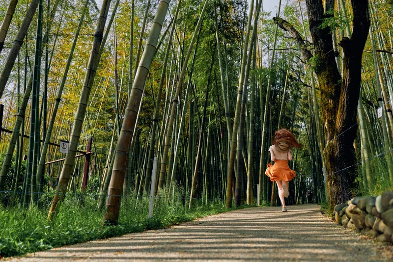 Woman running in an orange dress along a winding path through a dense bamboo forest, back view motion capture, summertime nature scene with sunlight, leafy green tranquility.