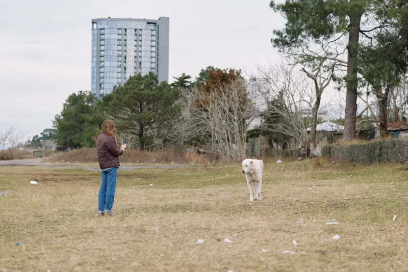 Dog, person, and park scene with distant city skyline, owner facing the dog in an open field, ready for training or play, scattered trees, dry grass, calm afternoon light, simple urban outdoor moment