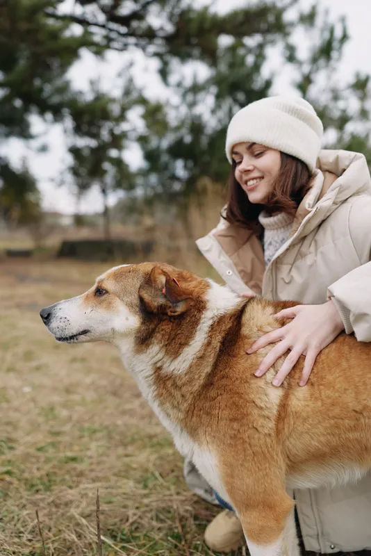 Woman in winter coat and knit hat smiles as she pets a brown and white dog outdoors in a park, capturing warmth, companionship and gentle contact with a loyal pet