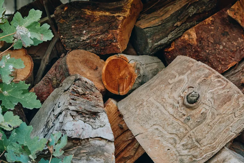 Firewood stacked logs with oak leaves and bark texture in a rustic outdoor woodpile, seasoned wood ready as fireplace fuel, cozy autumn atmosphere for country lifestyle.
