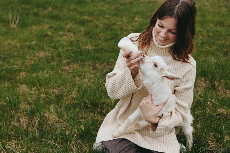 Cheerful woman outdoors feeding a baby goat with a bottle, cozy sweater, sunny day, relaxed posture, natural colors, grassy field, heartwarming moment, countryside lifestyle