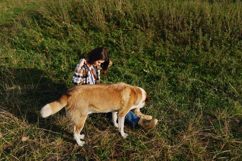 Person crouching beside a dog in a grassy field, enjoying nature during an outdoor stroll, casual clothing, warm sunlight, peaceful countryside moment
