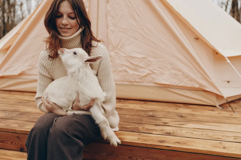 A woman sits on a wooden deck beside a canvas tent, cradling a small white goat kid. A warm, candid moment of outdoor life, gentle bonding, and rustic camping atmosphere.