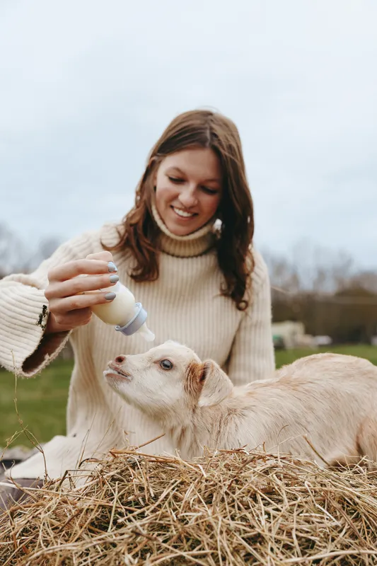 Woman bottles feeds a goat kid in a farm setting, cozy sweater, hay foreground, natural light, intimate lifestyle moment, gentle bonding, care and nourishment in a rustic outdoor scene.