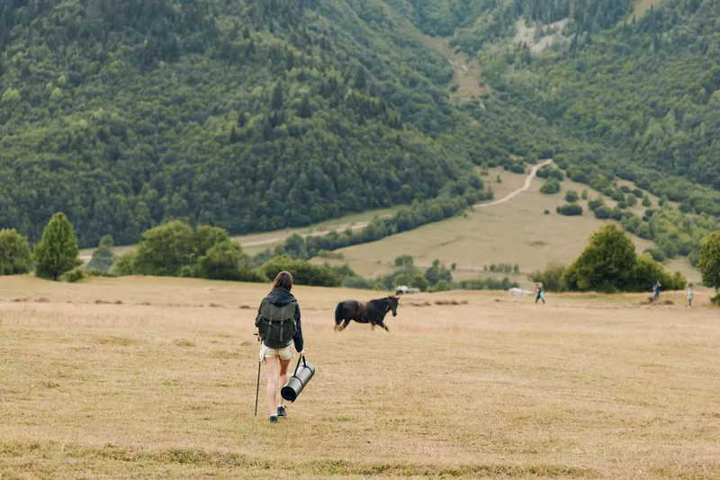 A lone hiker walks across a wide meadow with a camera bag, while a black dog trots nearby, set against rolling hills and forested mountains in the distance.