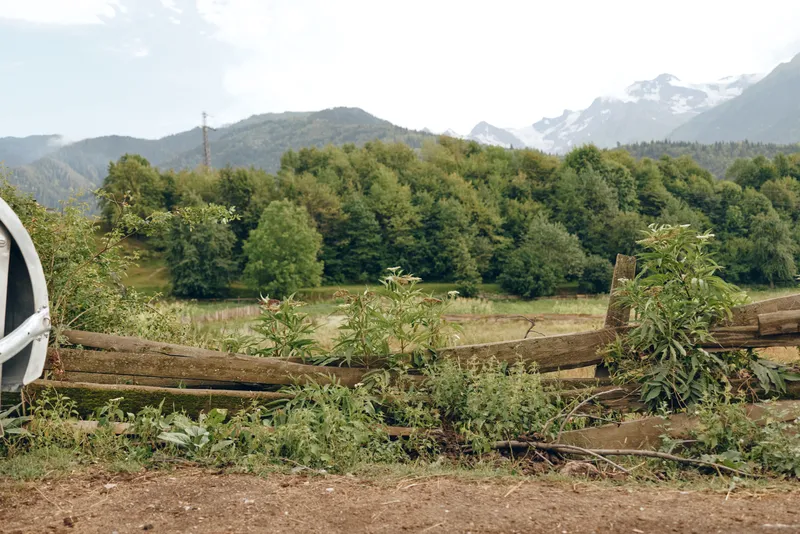 Fence meadow trees mountains rural landscape with wooden fence, green field and distant mountain peaks