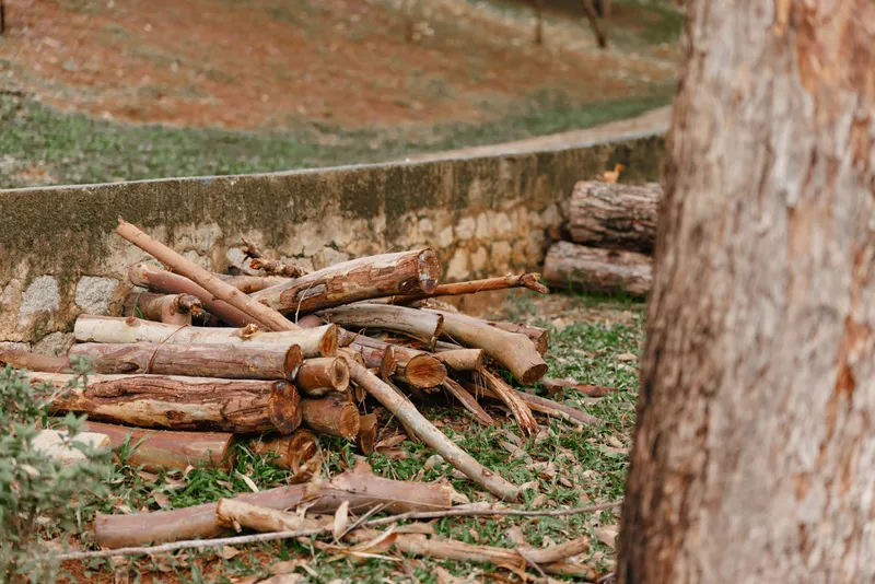 A pile of neatly stacked firewood in a tranquil setting, surrounded by lush greenery and earthy tones, inviting warmth and rustic charm