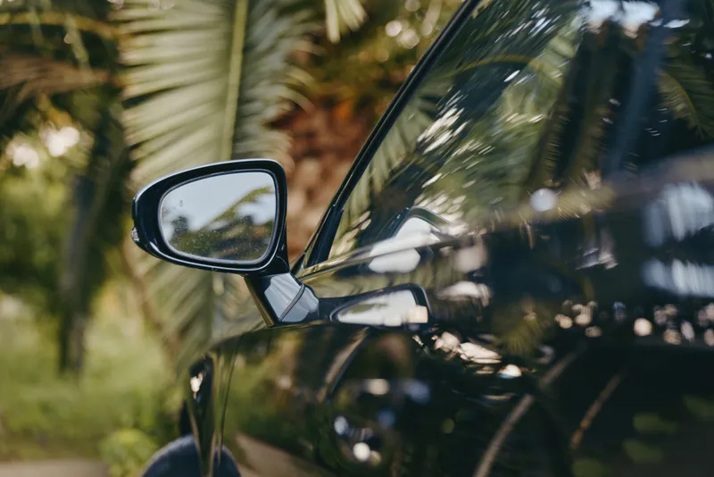 Car side mirror reflection on a black car with palm trees, tropical closeup showing glossy door and mirror detail, outdoor vehicle photo with sunlight and green foliage.