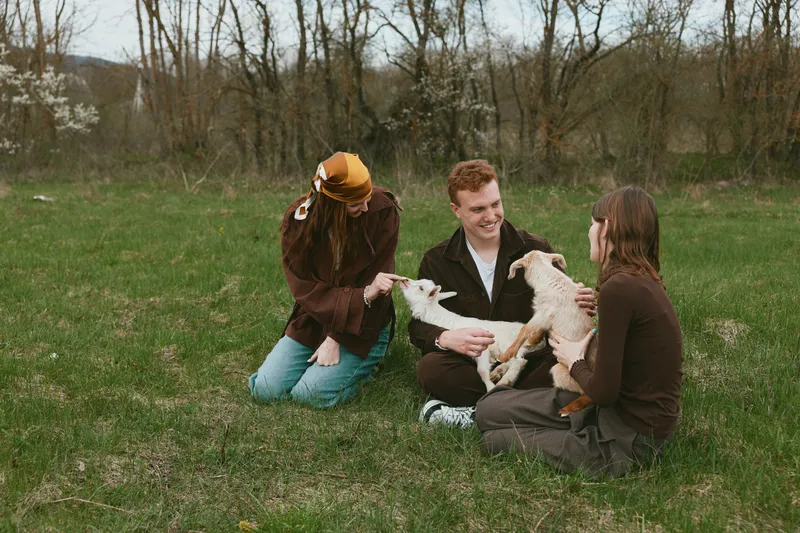 Casual outdoor moment with a small group of people sharing a gentle interaction with goats, sunlit field, relaxed smiles, grassy scene, earthy tones, natural light, warm mood, candid lifestyle scene