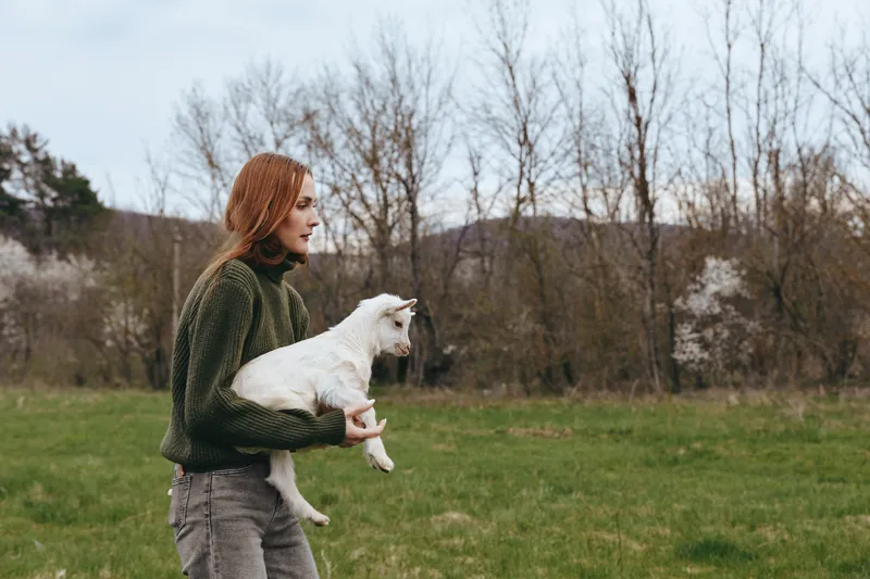 Lifestyle scene of a woman in a green sweater holding a young goat kid in an open grassy park, calm mood, natural light, rural vibe, candid moment outdoors