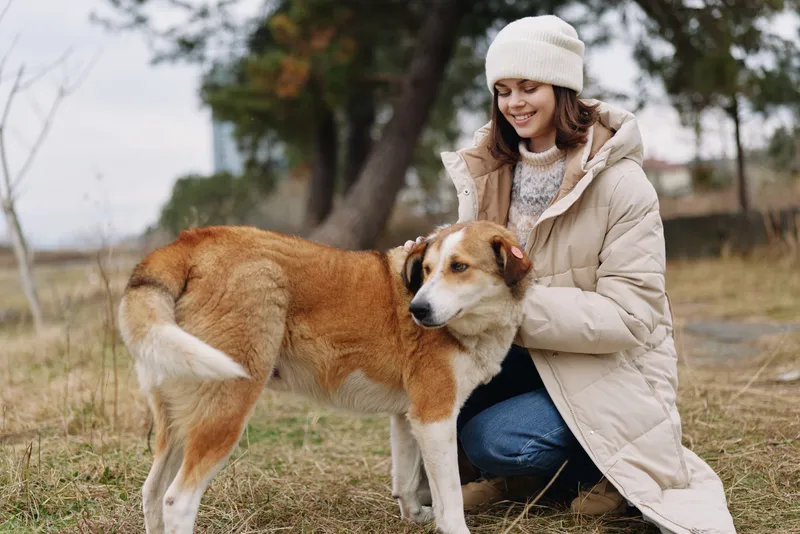 Woman kneels with a dog in an open field, wearing a warm coat and beanie, sharing a gentle moment of companionship during a cozy outdoor walk on a chilly day.