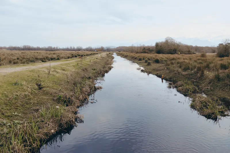 River landscape in countryside with calm water canal, grassy banks and leafless trees, cloudy sky above distant mountains, peaceful outdoor nature, wide view