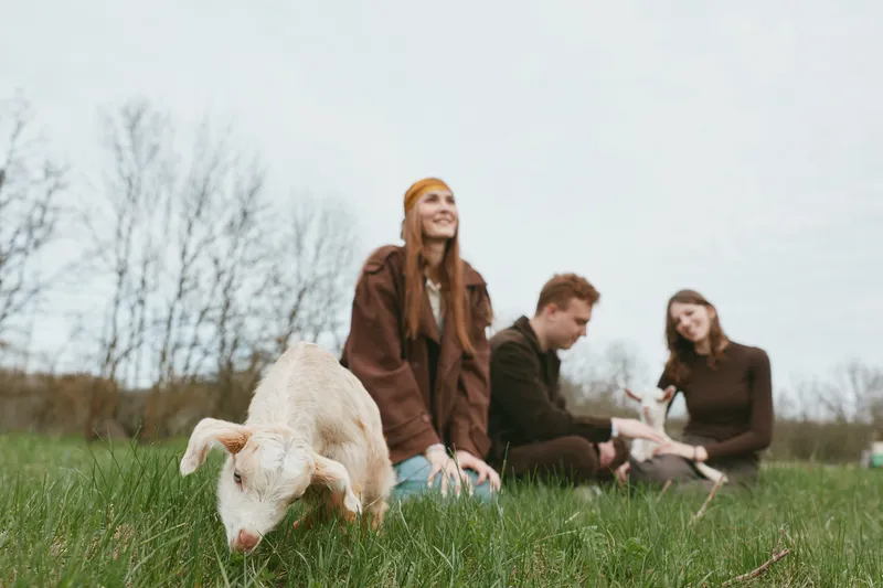 Casual outdoor scene with friends and a playful goat kid in a grassy field, three people interact warmly, relaxed vibe, natural daylight, rustic setting, candid lifestyle moment