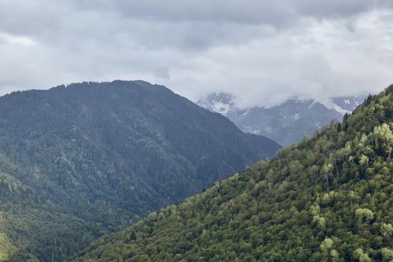 Breathtaking mountain landscape with forested slopes and a cloudy sky, offering a serene natural scene for travel and nature themed projects.