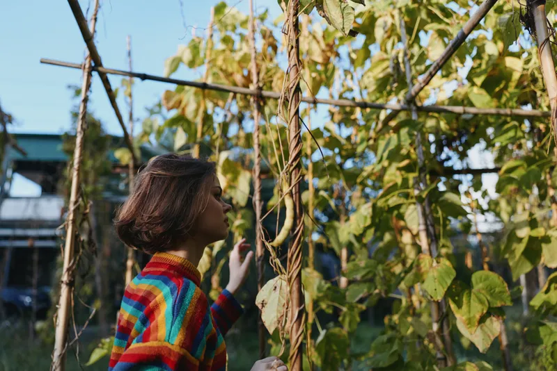 Child girl explores garden vines and plants in nature wearing a colorful sweater, touching leaves and observing foliage in a backyard greenhouse scene with curiosity and calm.