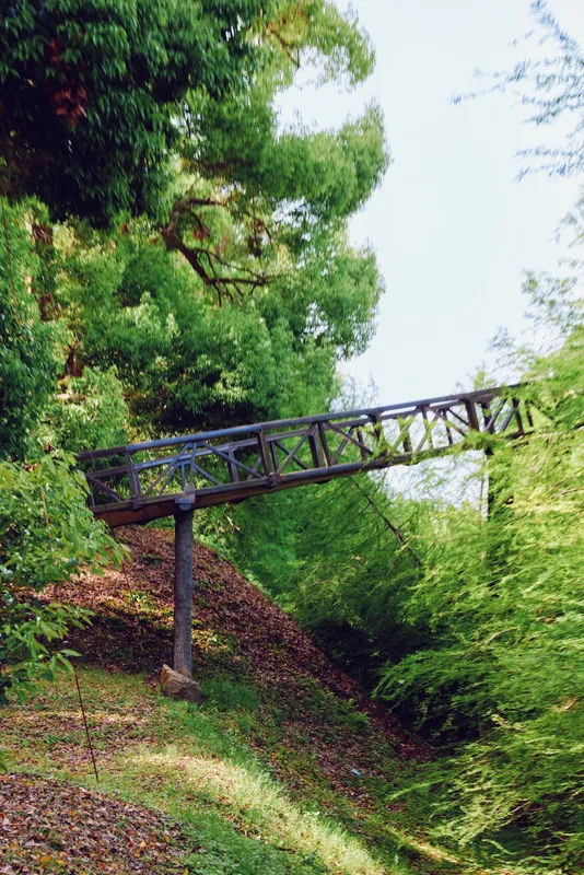 Bridge, footbridge, forest, trees, greenery, slope: rustic metal footbridge spans a leafy ravine in dense woodland, mossy ground, scattered leaves and a quiet natural trail through foliage.
