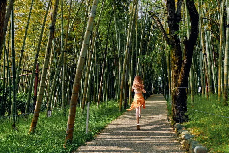 Bamboo woman path forest dress walking: young woman in orange dress walking down a gravel path through tall bamboo forest, sunlight filtering through leaves, serene nature scene.