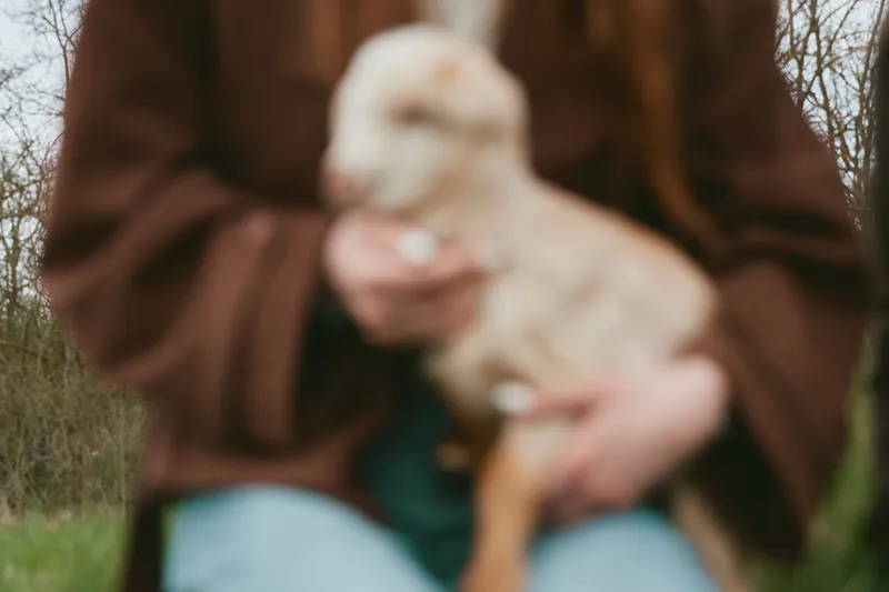 Lifestyle scene with a person in a brown coat holding a young goat kid outdoors, in a natural setting, warm mood, gentle touch, candid moment, rural atmosphere.