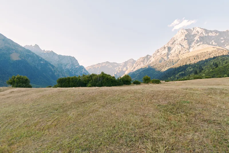 Meadow, mountains, landscape, field, nature, grass in wide open valley with shrubs and distant peaks under clear sky and soft sunlight, scenic outdoor view ideal for travel and relaxation.