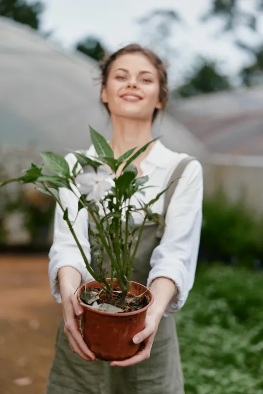 Young woman with a smile holding a potted plant, dressed casually in a white shirt and overalls, in a green house setting