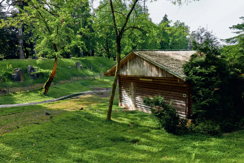 Cabin shed in a green park with grass and trees, wooden rustic structure amid lush greenery and shaded lawn, peaceful nature scene with sunlight and a winding path.
