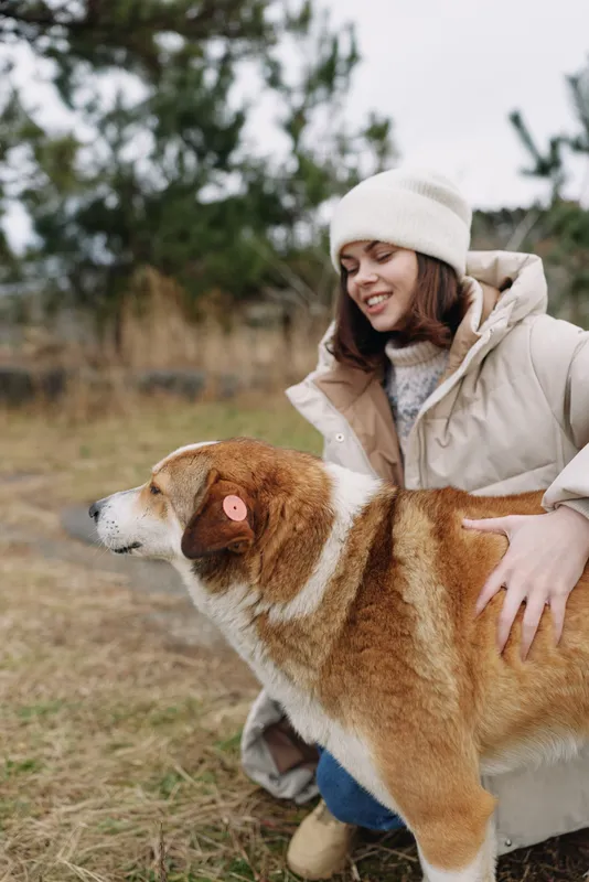 Woman in a warm coat and beanie enjoying a winter outdoors moment with a large dog in a grassy field, sharing gentle companionship.