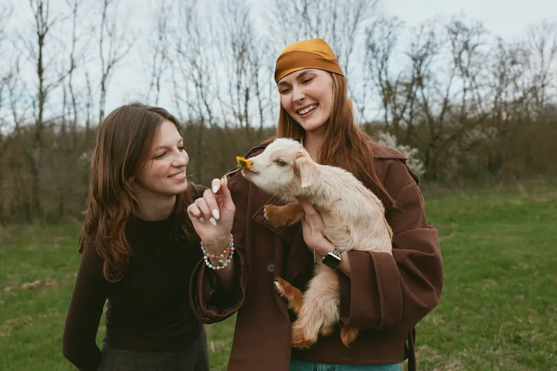 Lifestyle scene with two women outdoors, one offering a treat to a playful goat kid in a sunny field, highlighting friendship, smiling, feeding, and daily life with animals outdoor.