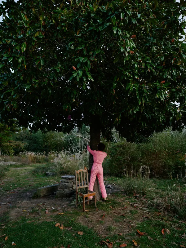 Child in pink reaches toward a leafy tree in a garden, standing on a chair as sunlight filters through leaves, capturing a playful moment of outdoor curiosity and calm exploration in a natural