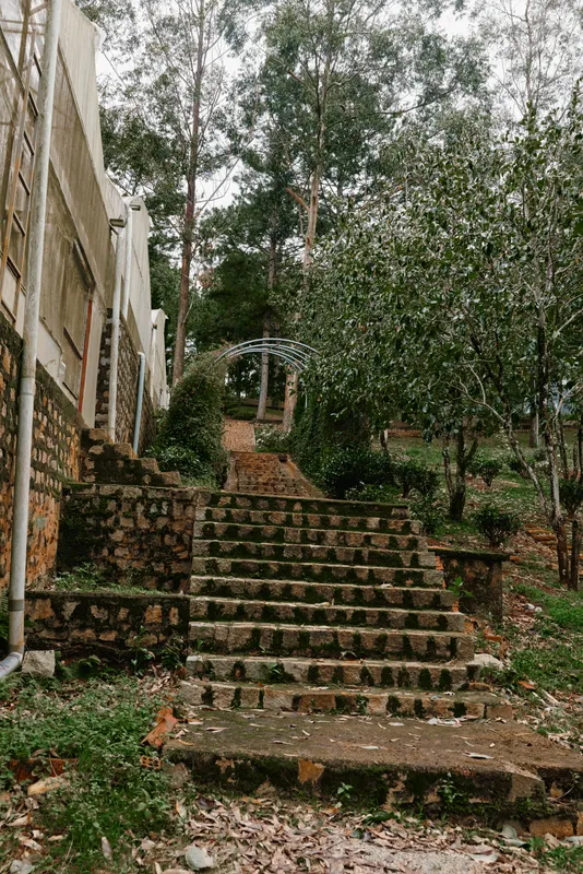Serene pathway leading through a lush garden with stone steps surrounded by greenery and trees in a tranquil outdoor setting